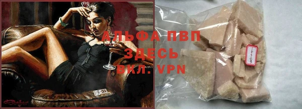 сатива Сясьстрой