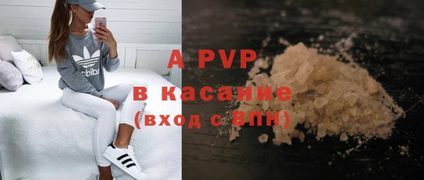 спиды Тайга