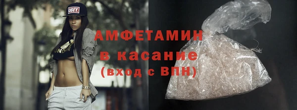 гашик Алексин