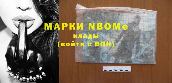 гашик Алексин