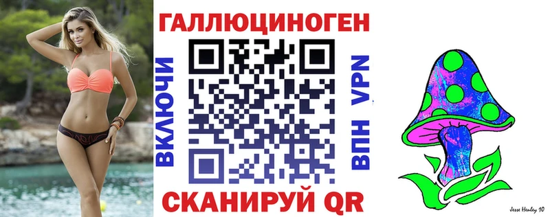Псилоцибиновые грибы Psilocybine cubensis  Берёзовка 